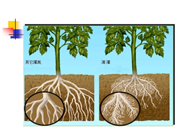 ιԱͼ