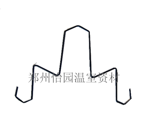 λ