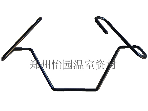 ˫